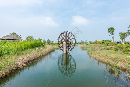 江苏宿迁洪泽湖湿地春季风光背景图片