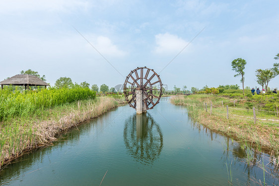 江苏宿迁洪泽湖湿地春季风光图片