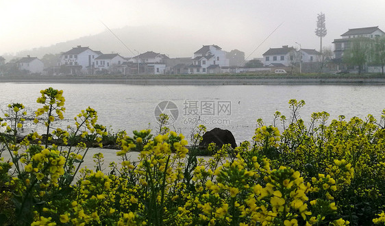 江南春色太湖沿岸民居图片