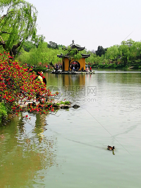 江南春色扬州瘦西湖图片
