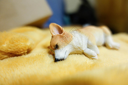 柯基狗狗睡觉小玩具图片