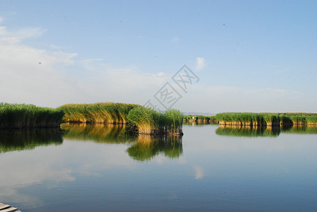 新疆相思湖风景背景图片
