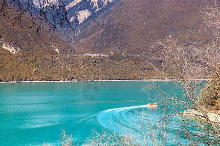 西藏林芝巴松措湖风景背景图片