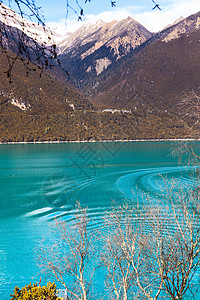 西藏林芝巴松措湖风景背景