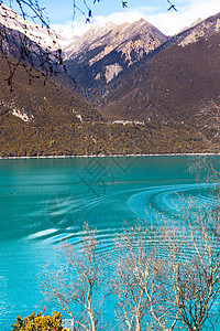 西藏林芝巴松措湖风景背景图片