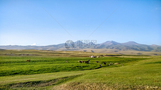 新疆那拉提草原风光图片