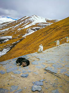 西藏米拉山山口风光图片