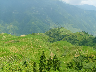 桂林龙脊梯田风光图片