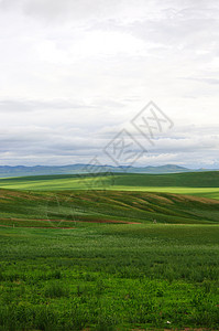 内蒙古风景内蒙古大草原背景