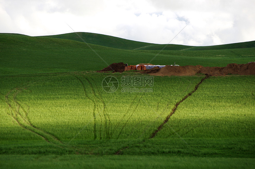 内蒙古大草原车印图片