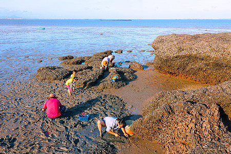 海边沙滩挖蛤蜊图片
