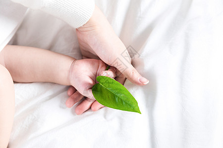 婴儿手持绿叶图片