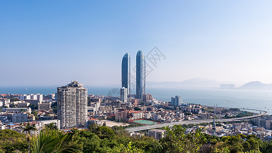 海仙花厦门鸿山公园眺望双子塔背景