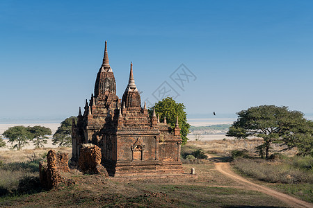 缅甸佛塔塔林图片