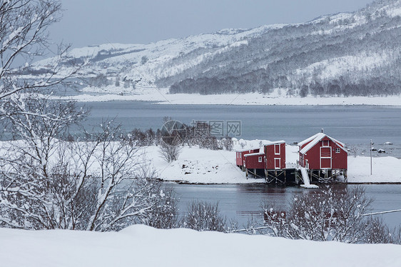 挪威北极圈冬季雪景图片