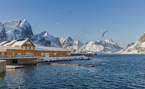 北极圈著名旅游胜地罗弗敦群岛上的西沃格岛自然风光背景