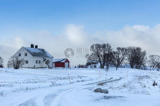 北极圈挪威冬季雪景图片