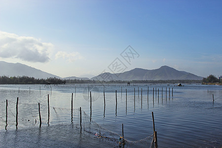 越南岘港水产养殖场图片
