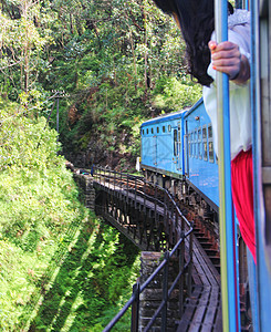 斯里兰卡高山茶园火车图片