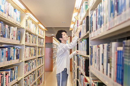 男生背影,在图书馆找书的学生背景