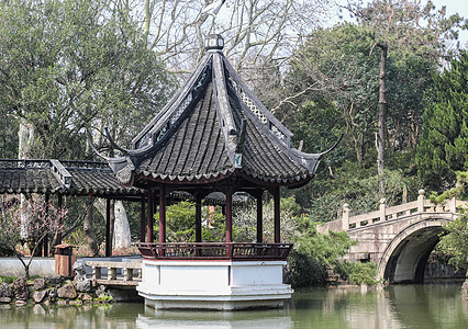 上海醉白池公园亭子背景图片