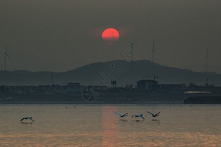 天鹅湖暮色图片