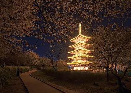 日式建筑五重塔樱花季背景图片