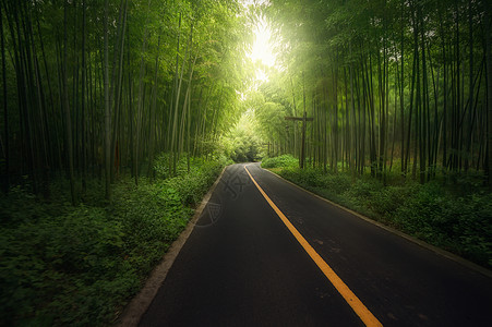 竹林景观背景 竹林景观摄影图片 竹林景观壁纸 摄图网