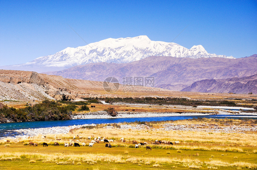 昆仑高原慕士塔格峰沼泽湿地图片