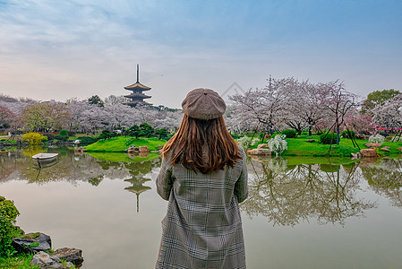 欣赏樱花园美丽风景的女生背景图片