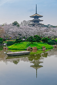 樱花季的武汉樱园风光美景背景图片