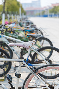 停放在校园内的自行车背景图片