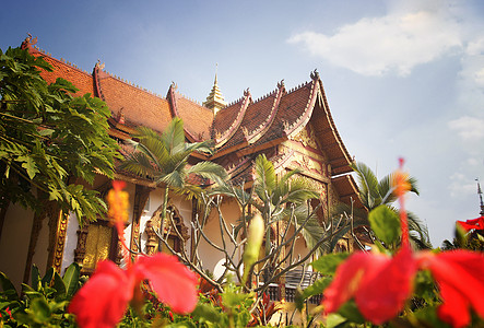 西双版纳大佛寺泰国大佛寺建筑背景