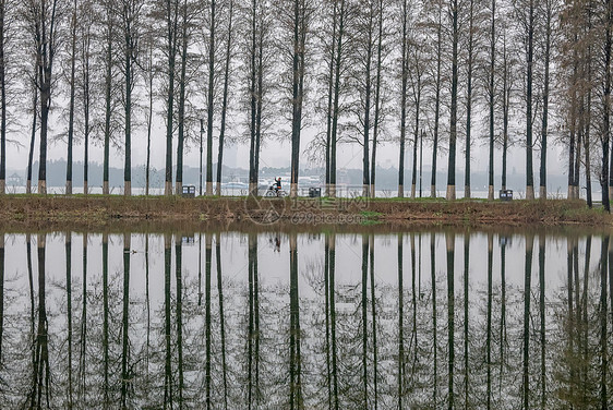 春天的东湖绿道树木倒影成画图片