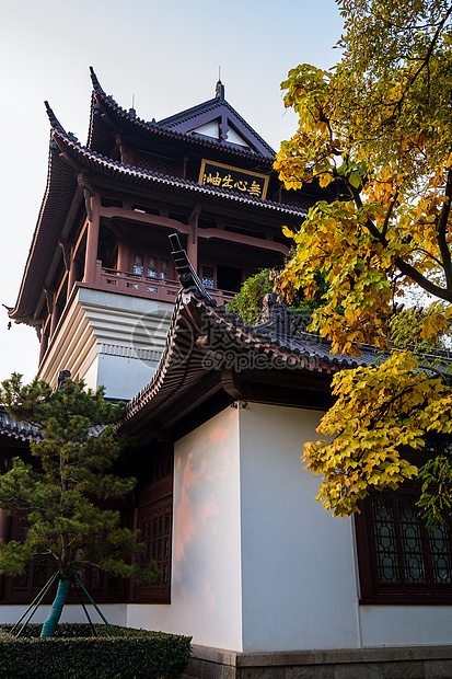 春天的晴川阁风景区建筑图片