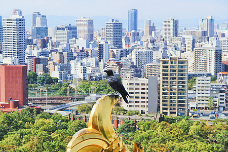日本城市日本大阪城市高楼背景