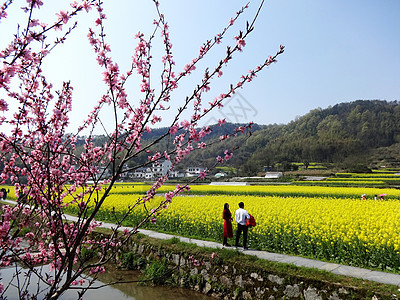 皖南农村春游 图片