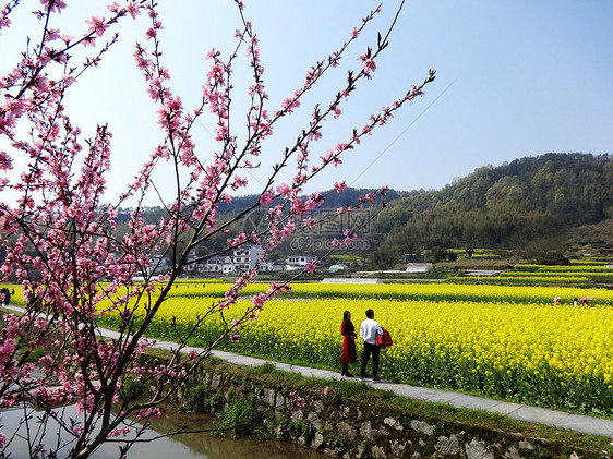 皖南农村春游 图片