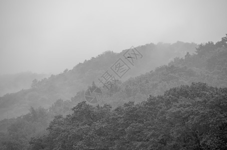 中国风山水杭州西湖保椒山背景