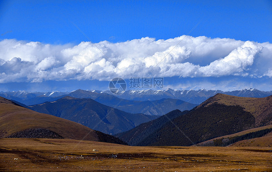 318国道卡子拉山风光图片