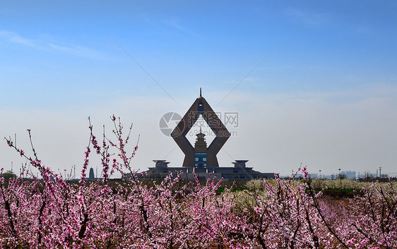 桃花掩映中的法门寺合十舍利塔图片