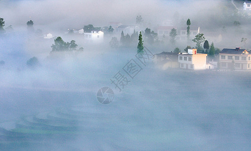 云雾缭绕的凤堰古梯田图片