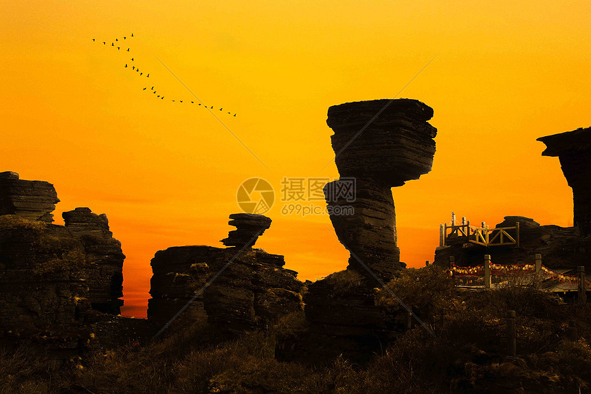 梵净山归鸟图片