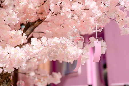 粉色展台商业中心樱花季粉色樱花背景