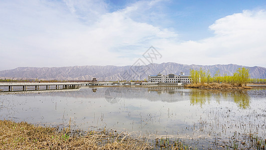 水川黄河湿地公园图片