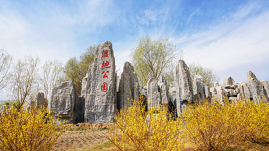 水川黄河湿地公园背景图片