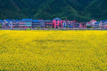 婺源五彩村庄背景图片