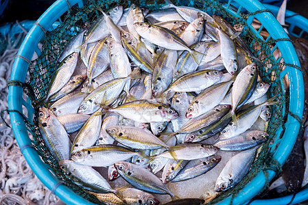 海鲜摊位食材素材网高清图片