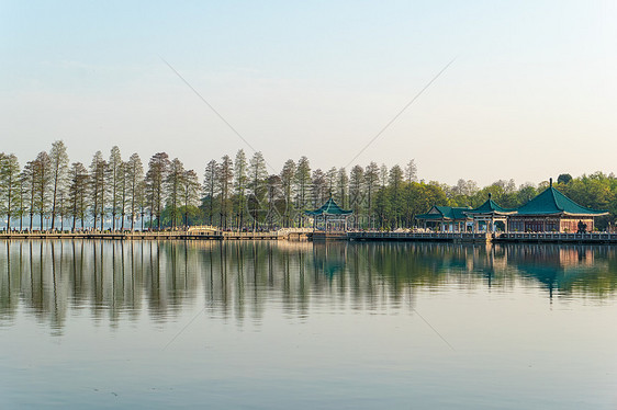 武汉东湖湖景林荫小道图片