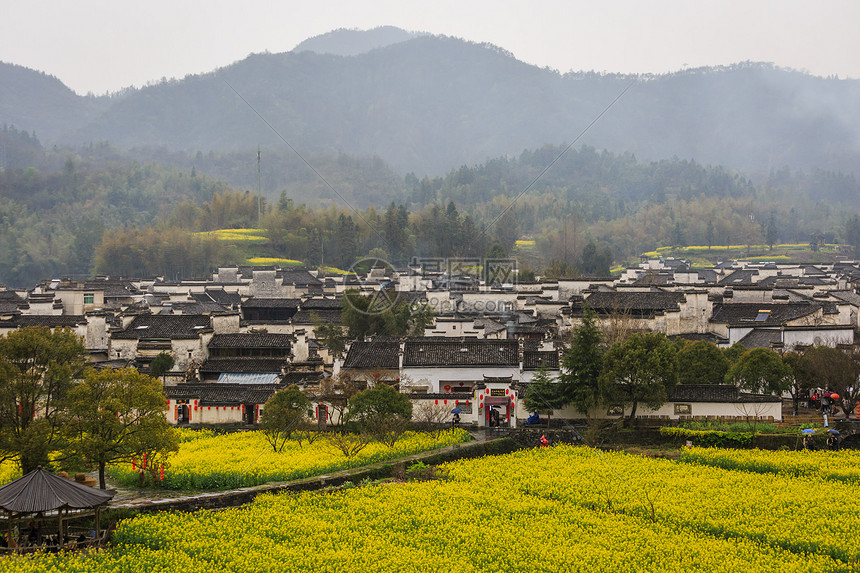 春天里的西递古村落图片